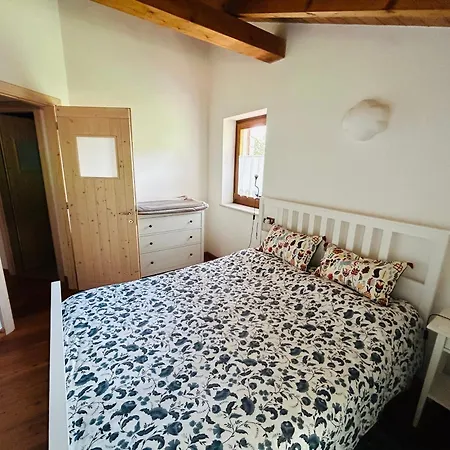 Albaredo Wood Terasse Lejlighed