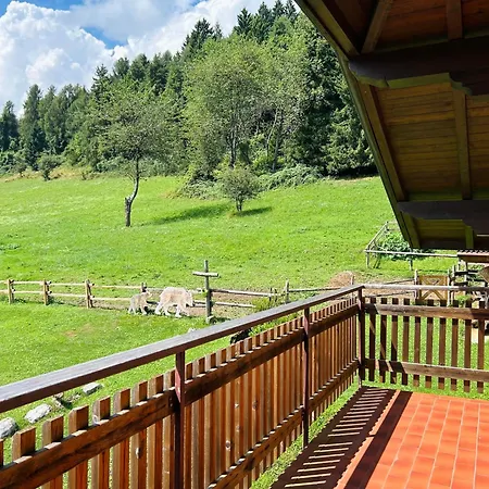 Apartment Albaredo Wood Terasse